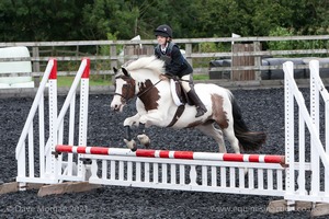 Class 3 -  Fences not above 2'3